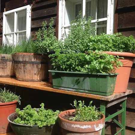 Alte Schmiede - Kleine Hotel